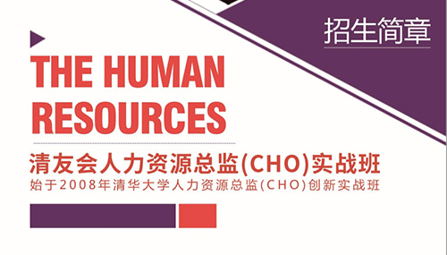 人力資源總監(CHO)實戰研修班-源自清華